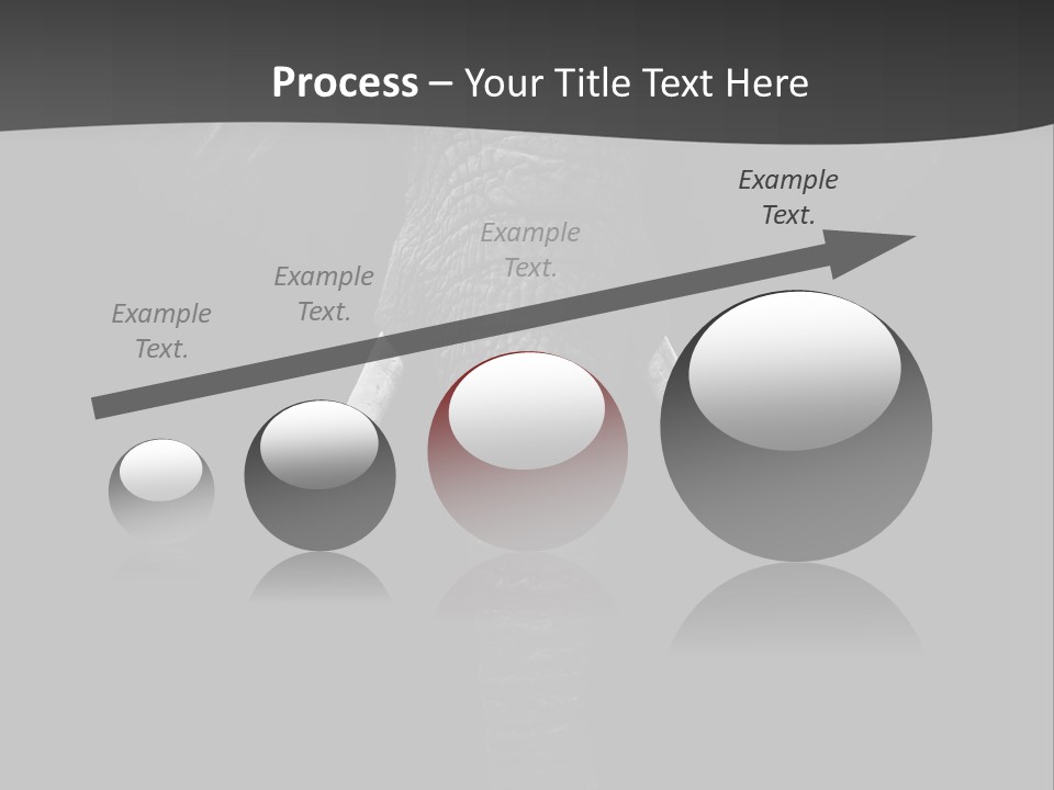 Dark Background Huge Elephant PowerPoint Template