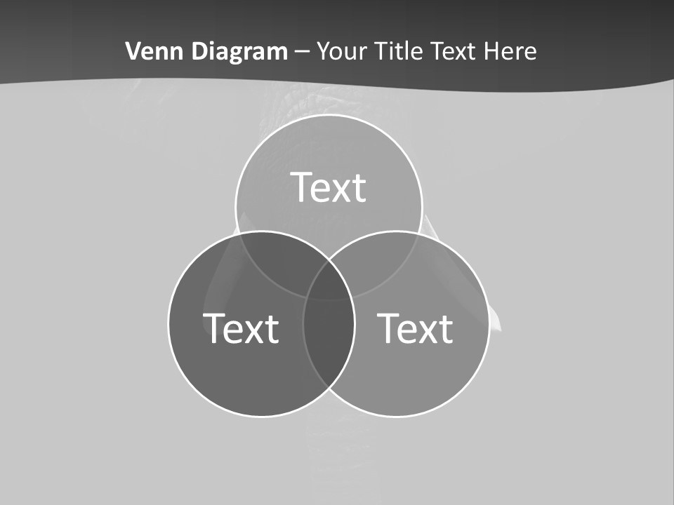 Dark Background Huge Elephant PowerPoint Template