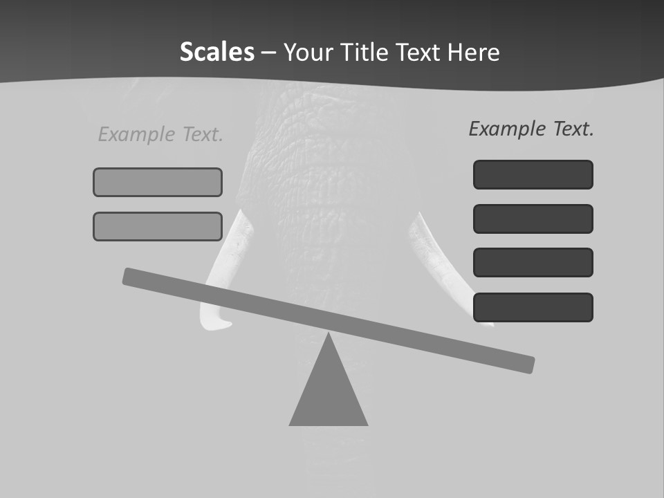 Dark Background Huge Elephant PowerPoint Template