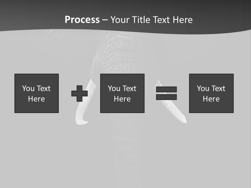 Dark Background Huge Elephant PowerPoint Template