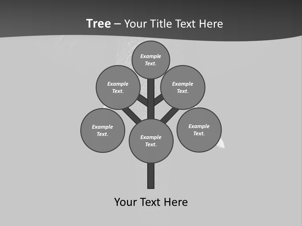 Dark Background Huge Elephant PowerPoint Template