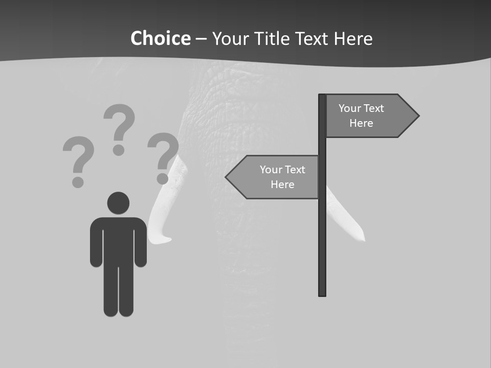Dark Background Huge Elephant PowerPoint Template