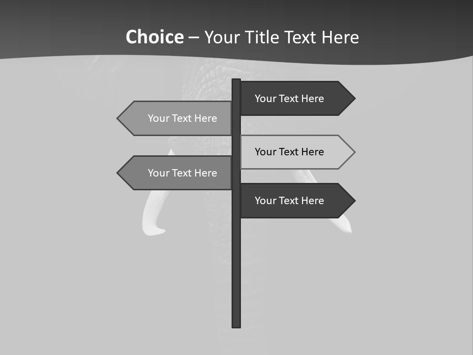 Dark Background Huge Elephant PowerPoint Template