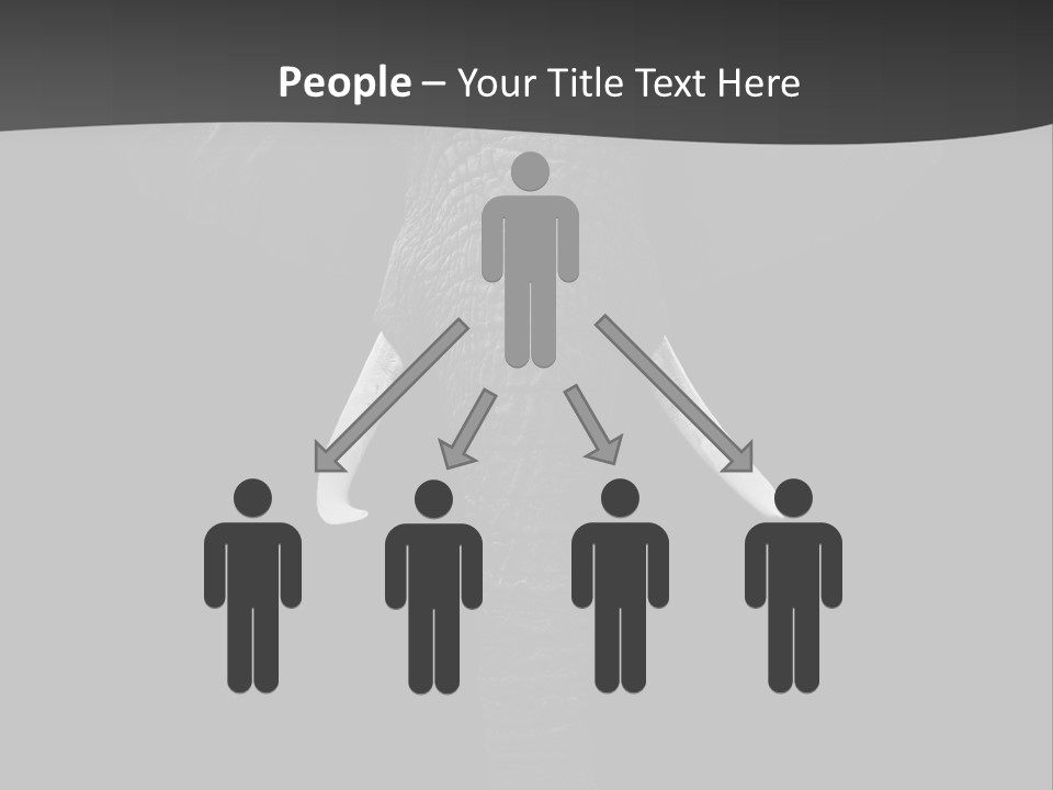 Dark Background Huge Elephant PowerPoint Template