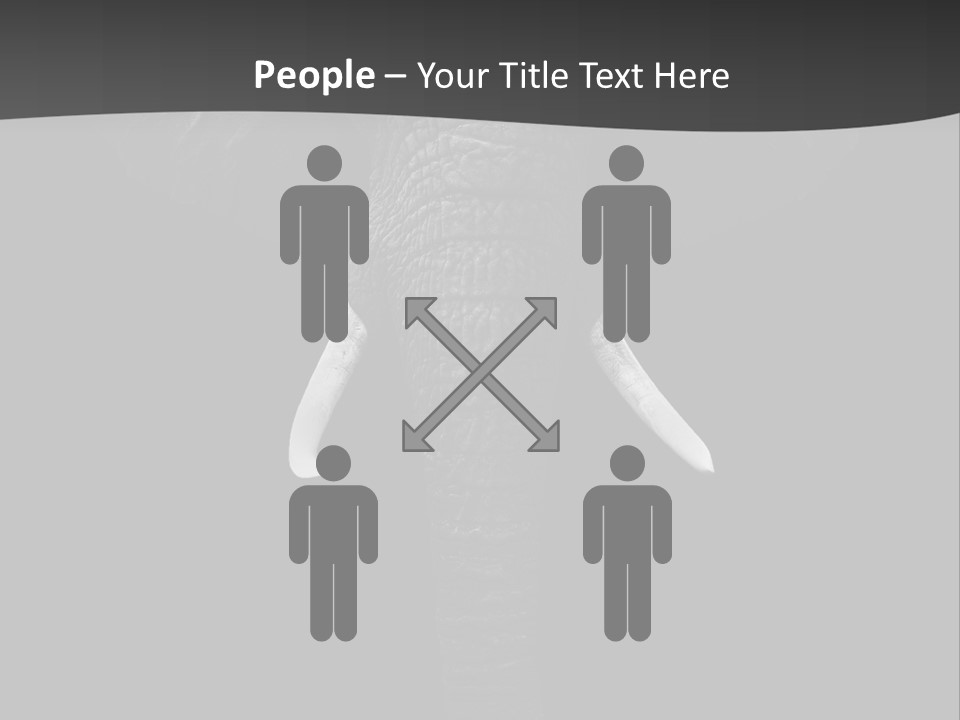 Dark Background Huge Elephant PowerPoint Template