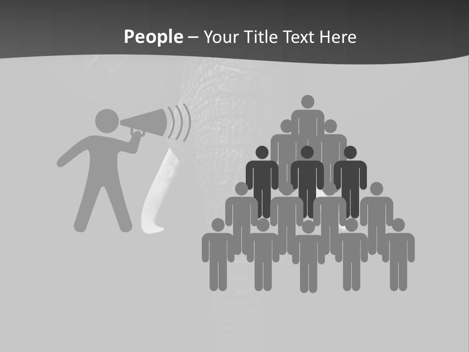 Dark Background Huge Elephant PowerPoint Template