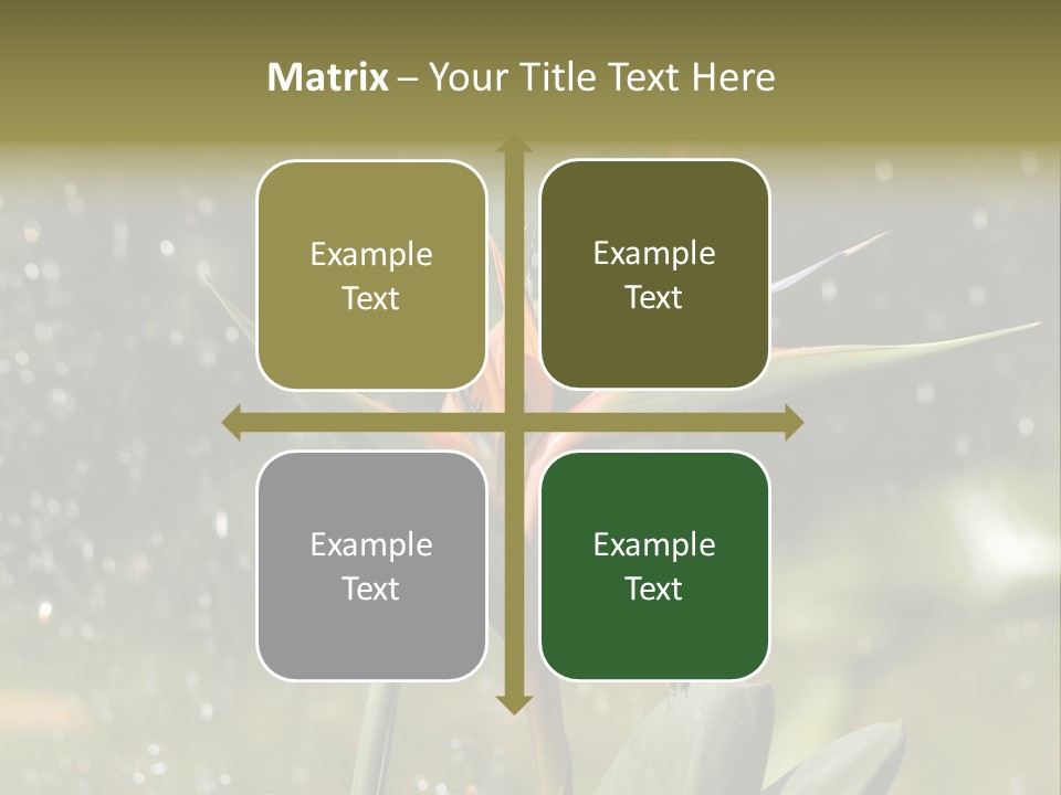 Intense Paradise Drops PowerPoint Template