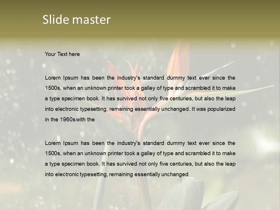 Intense Paradise Drops PowerPoint Template