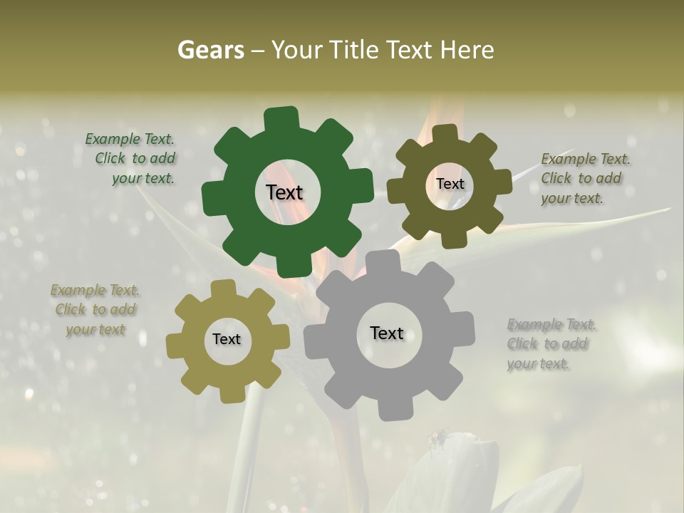 Intense Paradise Drops PowerPoint Template