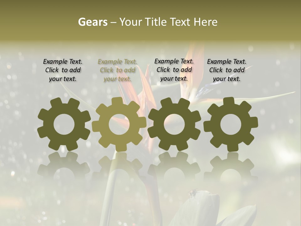 Intense Paradise Drops PowerPoint Template