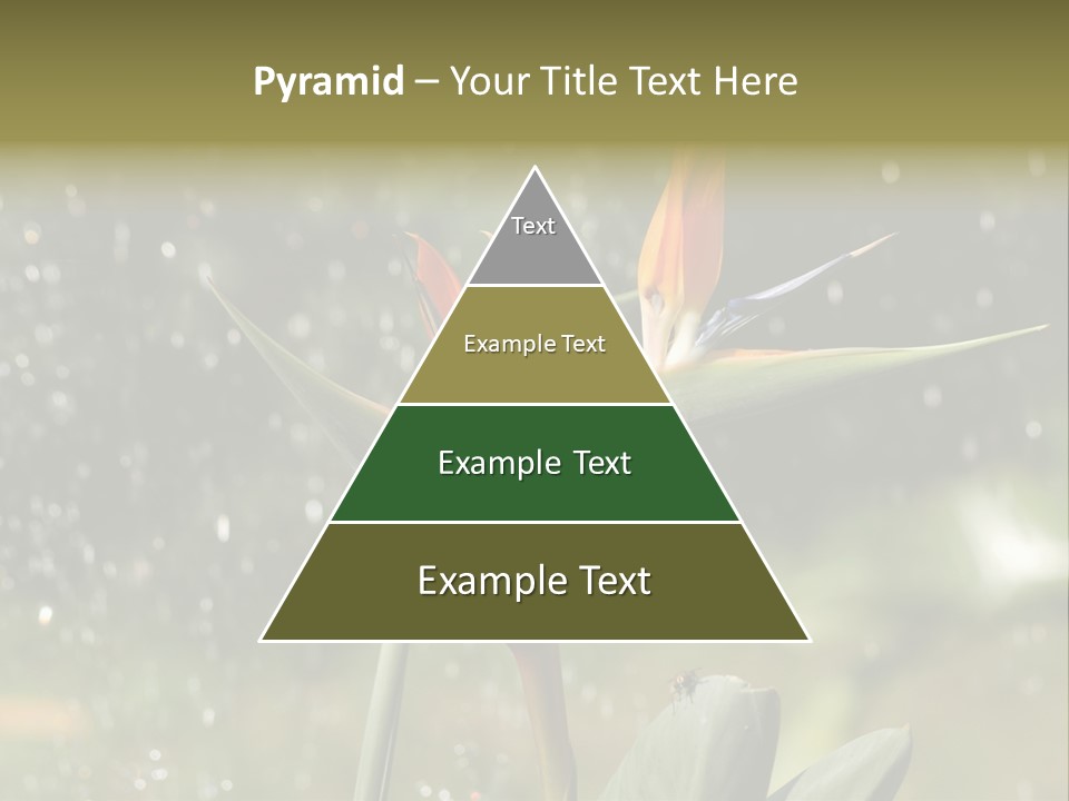 Intense Paradise Drops PowerPoint Template