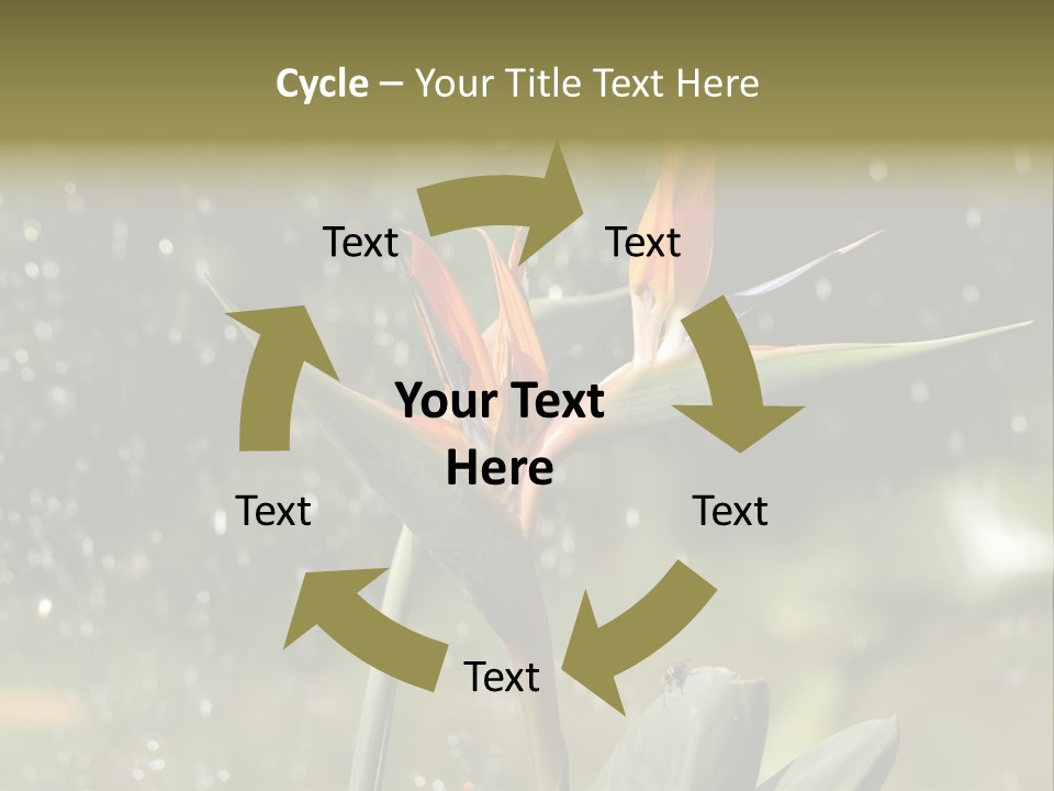 Intense Paradise Drops PowerPoint Template