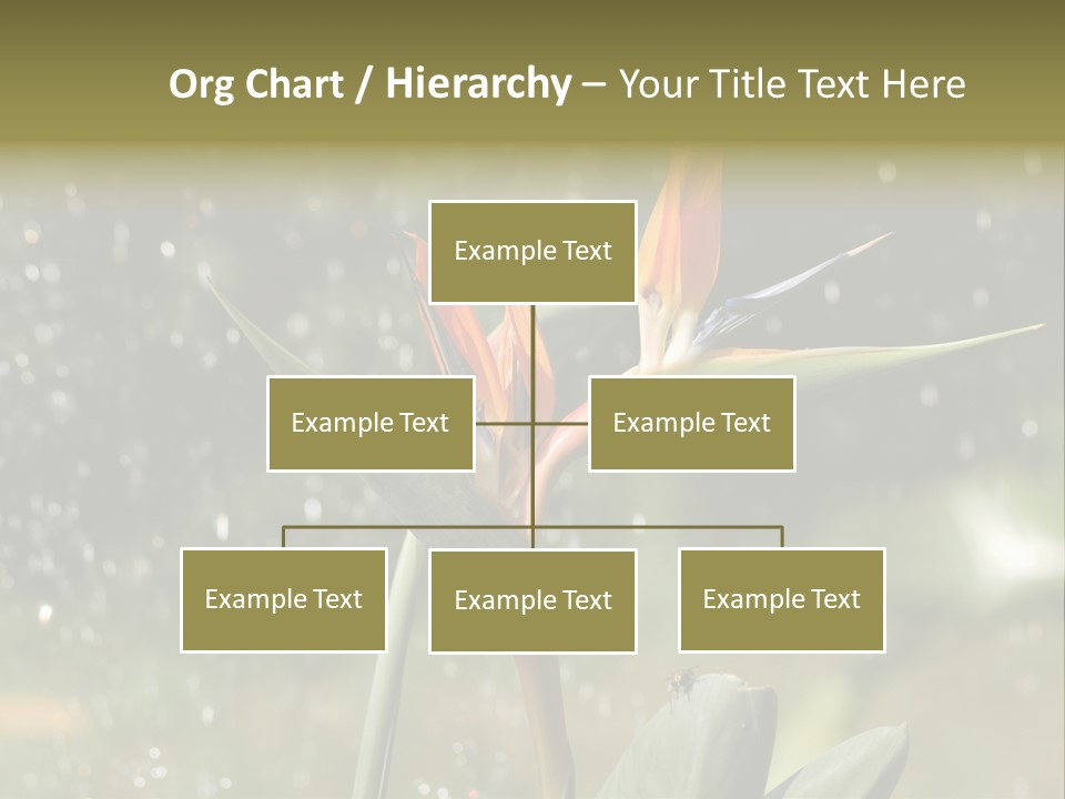 Intense Paradise Drops PowerPoint Template