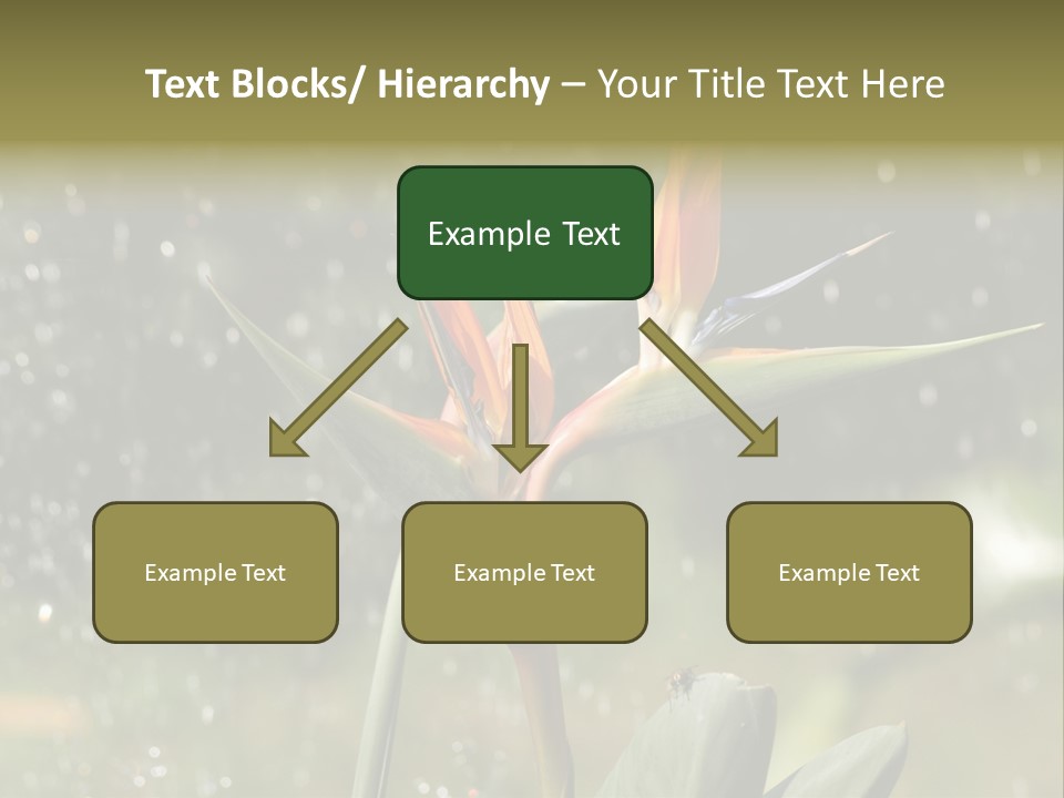 Intense Paradise Drops PowerPoint Template