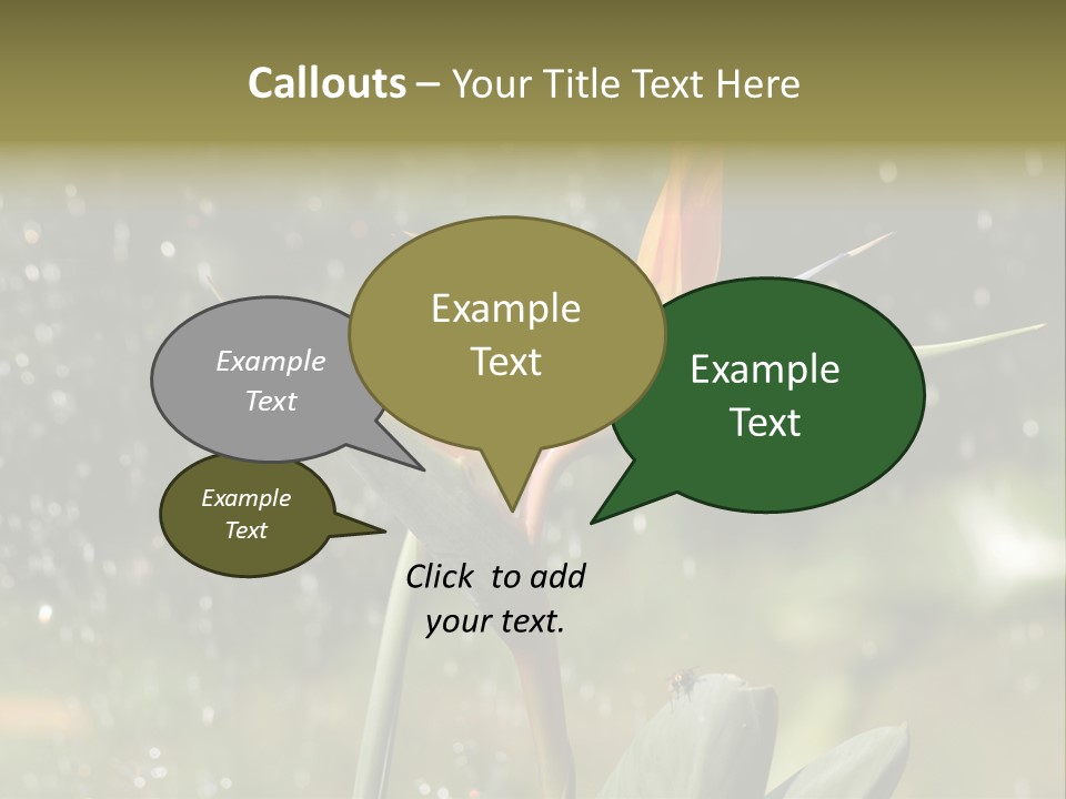 Intense Paradise Drops PowerPoint Template