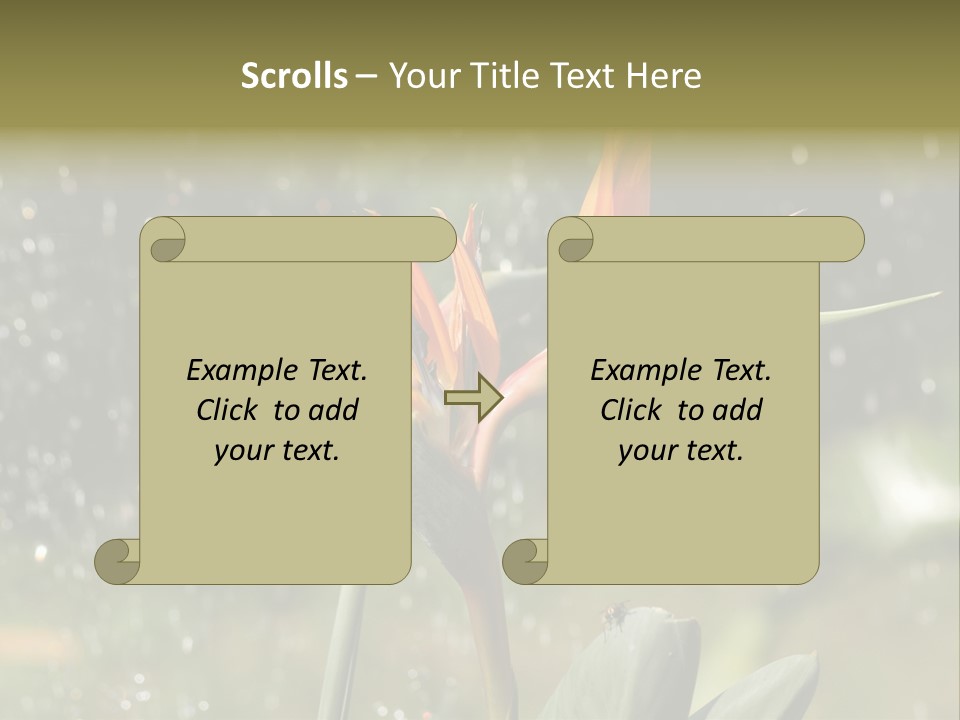Intense Paradise Drops PowerPoint Template