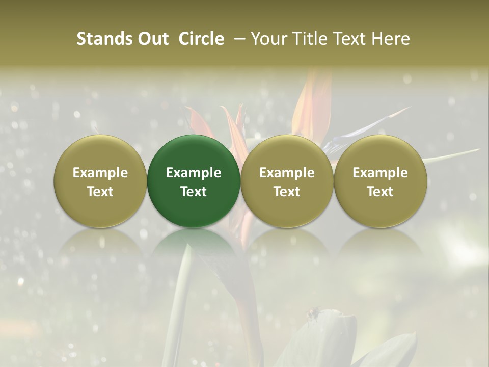 Intense Paradise Drops PowerPoint Template