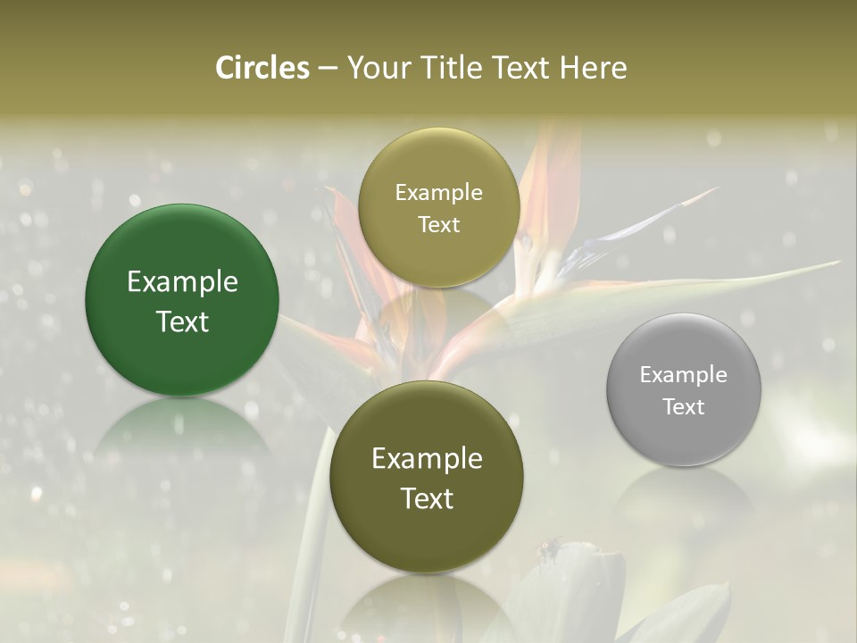 Intense Paradise Drops PowerPoint Template