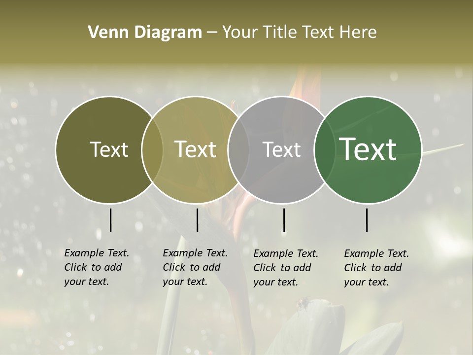 Intense Paradise Drops PowerPoint Template