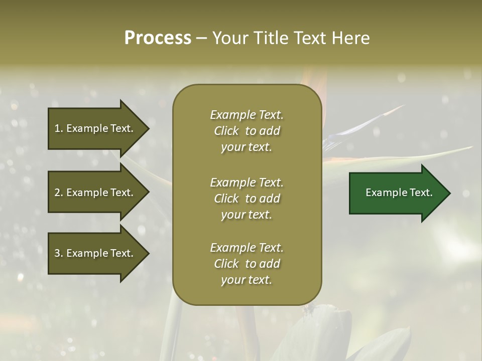 Intense Paradise Drops PowerPoint Template
