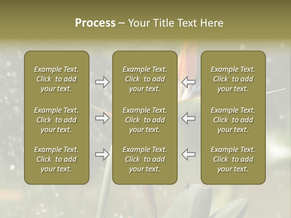 Intense Paradise Drops PowerPoint Template