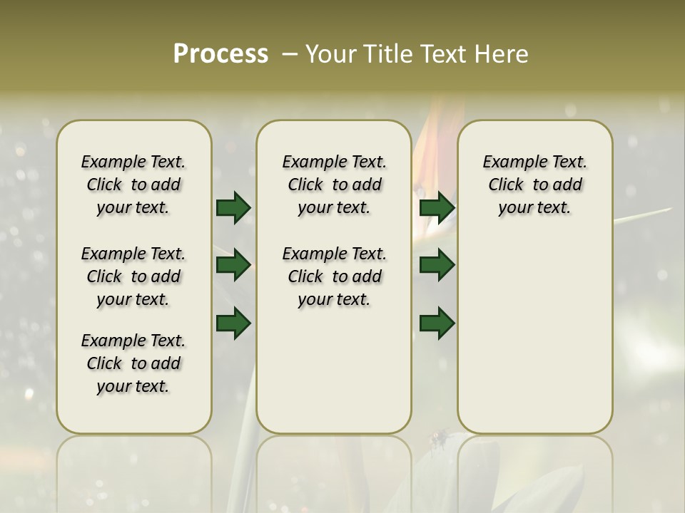 Intense Paradise Drops PowerPoint Template