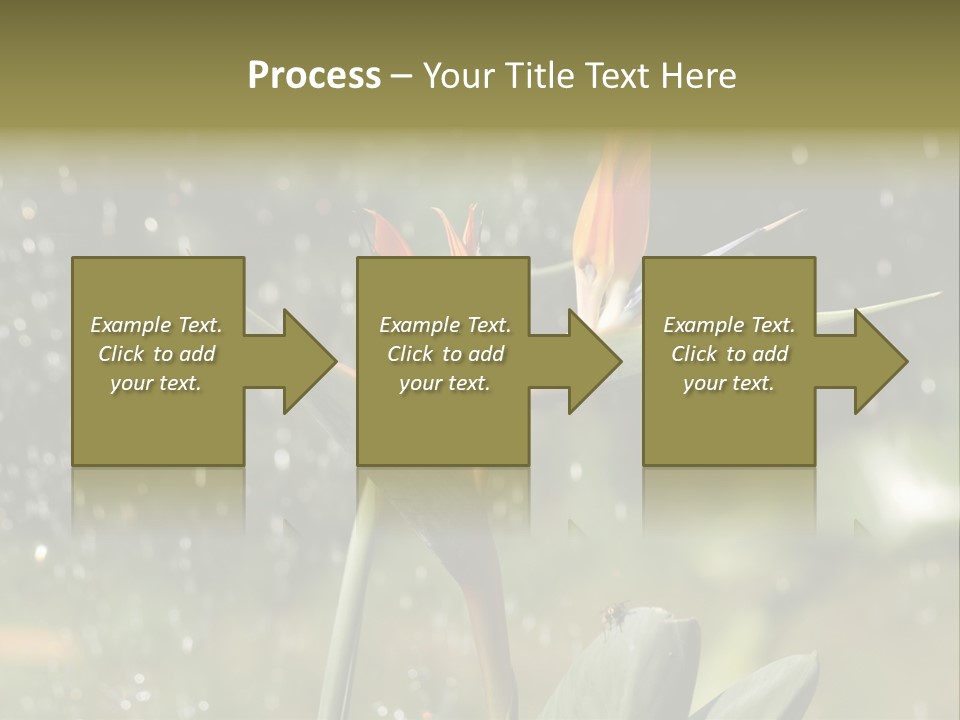 Intense Paradise Drops PowerPoint Template