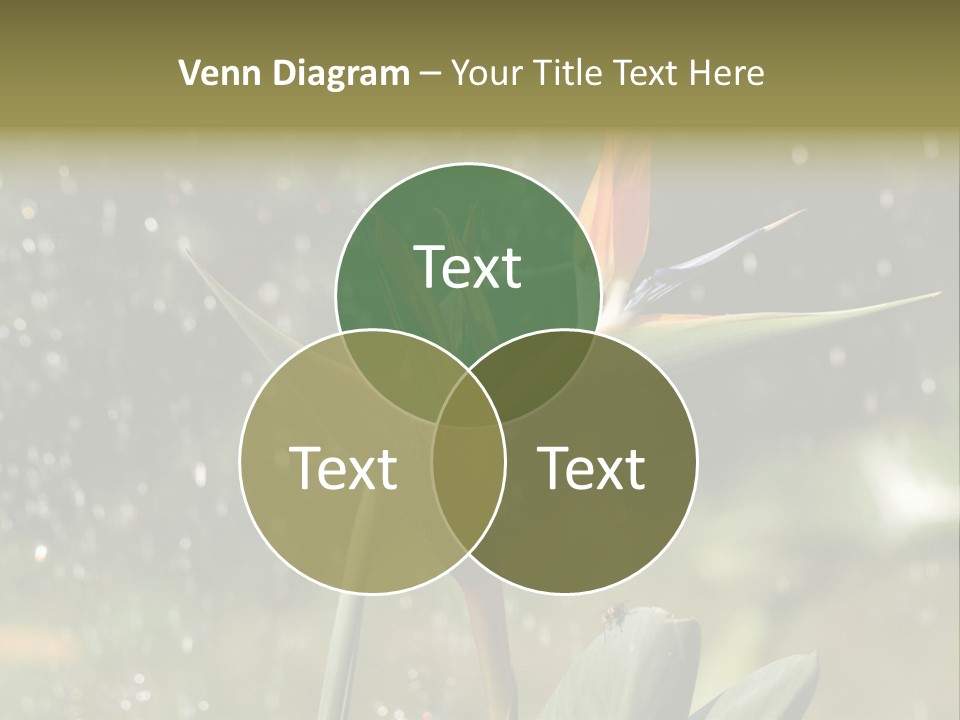 Intense Paradise Drops PowerPoint Template