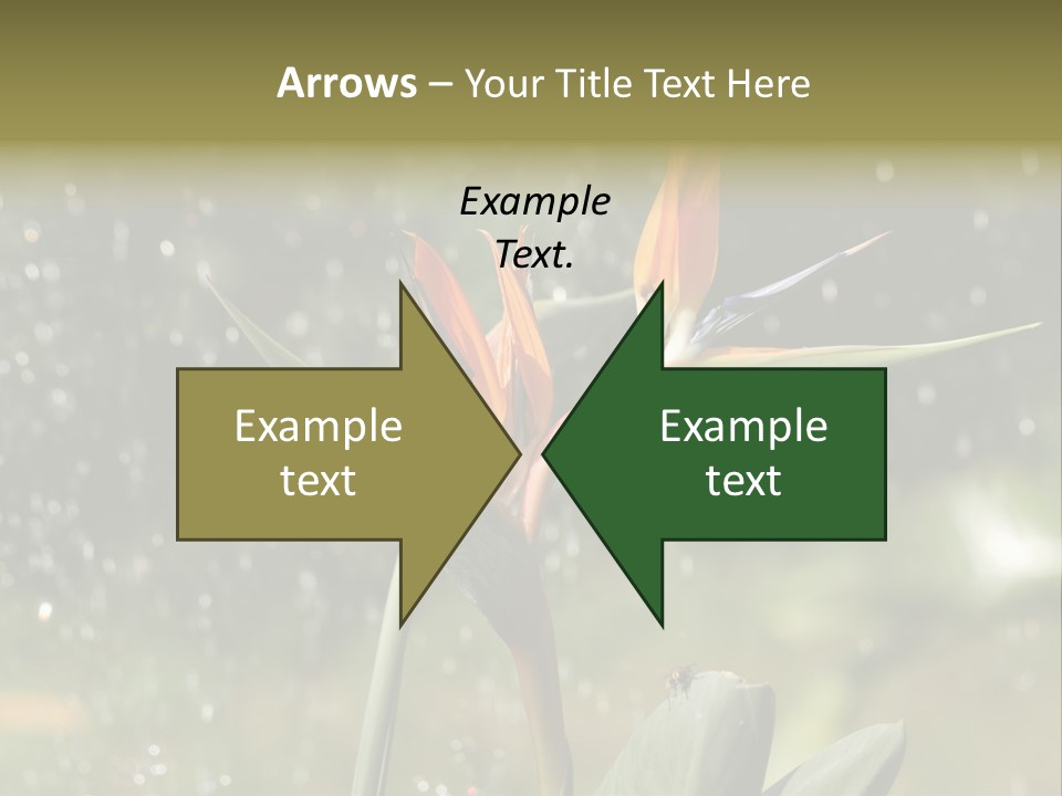 Intense Paradise Drops PowerPoint Template