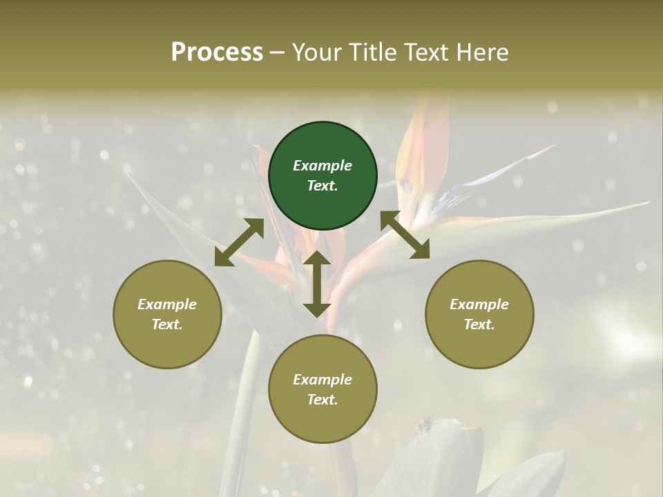 Intense Paradise Drops PowerPoint Template