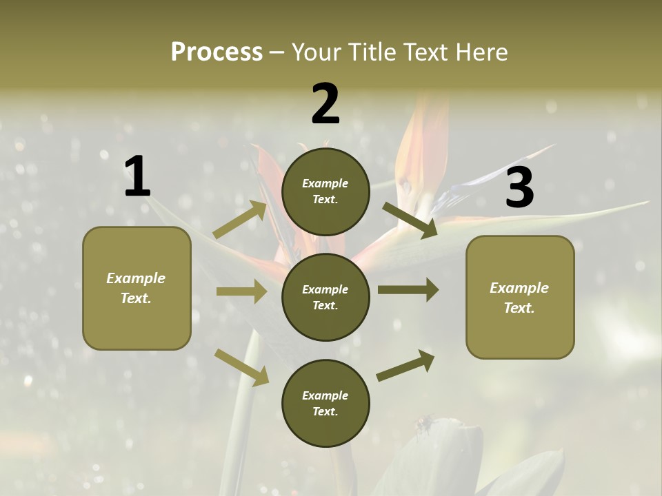 Intense Paradise Drops PowerPoint Template