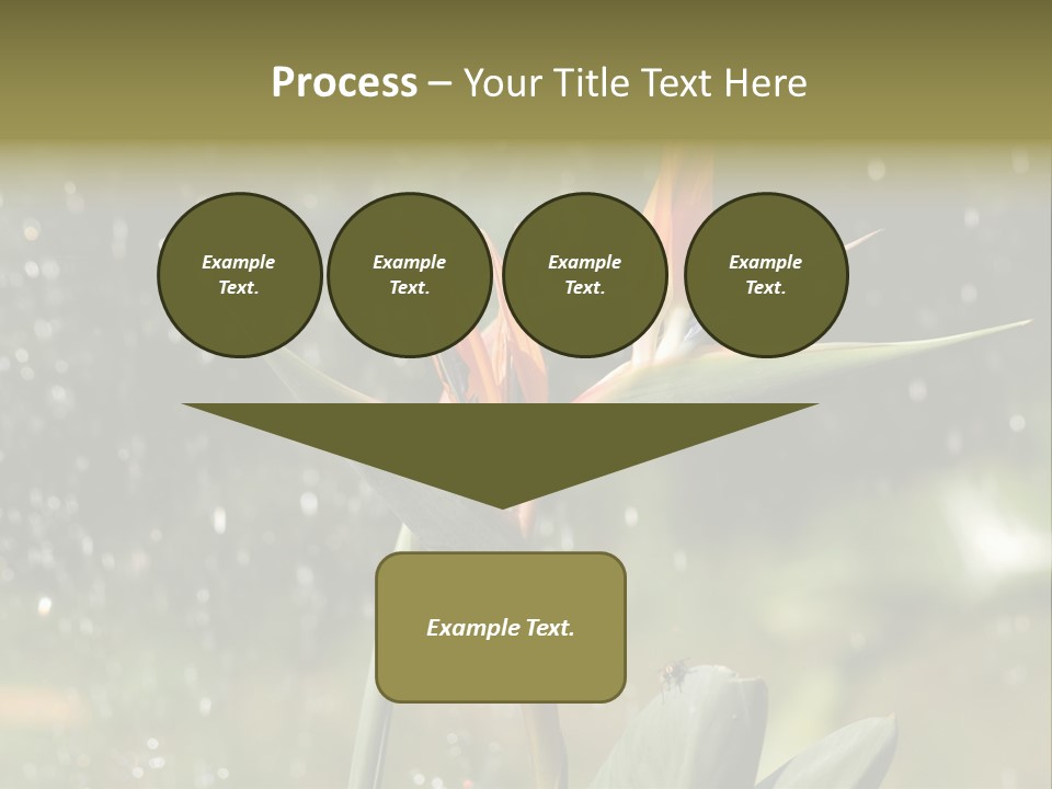 Intense Paradise Drops PowerPoint Template