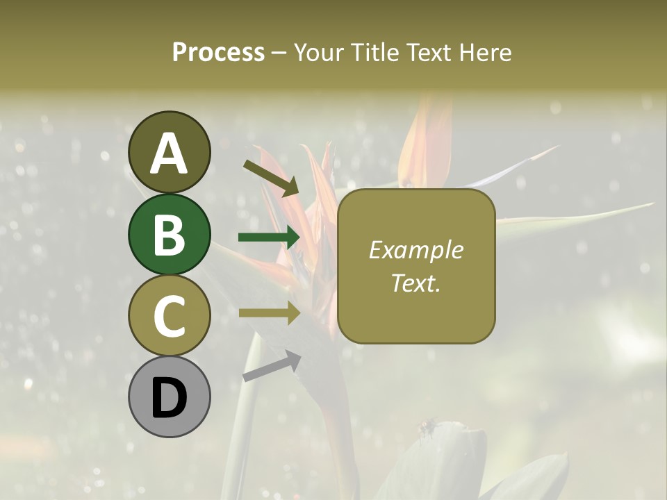 Intense Paradise Drops PowerPoint Template