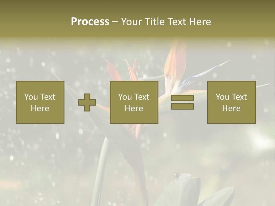 Intense Paradise Drops PowerPoint Template