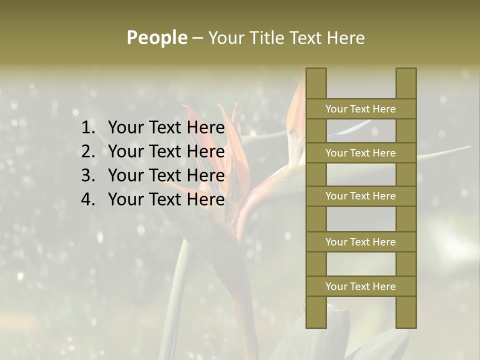 Intense Paradise Drops PowerPoint Template