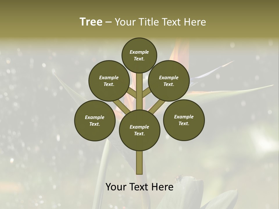 Intense Paradise Drops PowerPoint Template