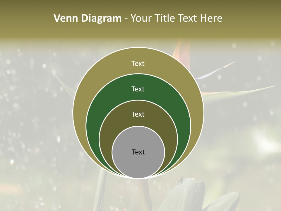 Intense Paradise Drops PowerPoint Template