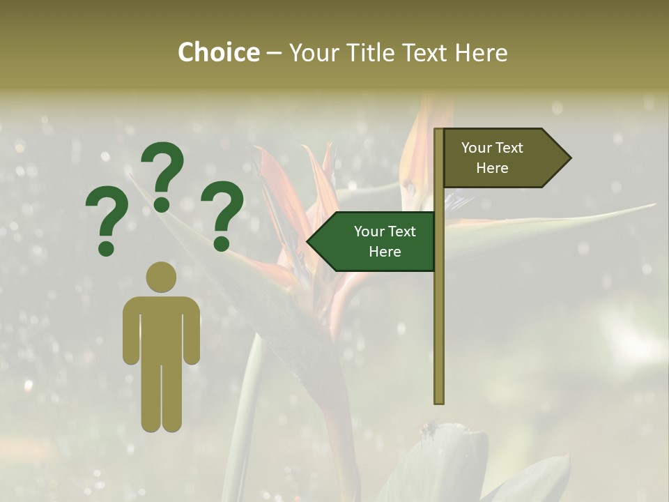 Intense Paradise Drops PowerPoint Template