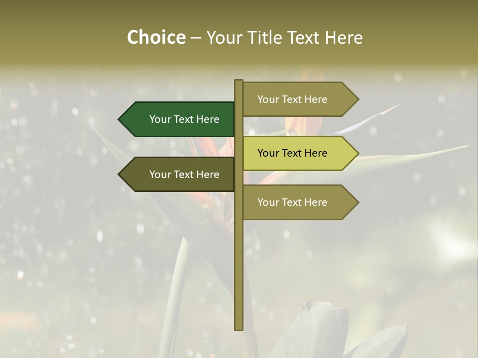 Intense Paradise Drops PowerPoint Template