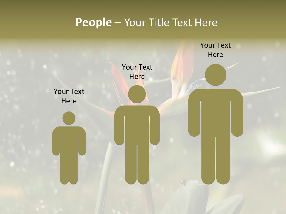 Intense Paradise Drops PowerPoint Template