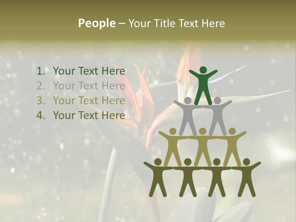 Intense Paradise Drops PowerPoint Template