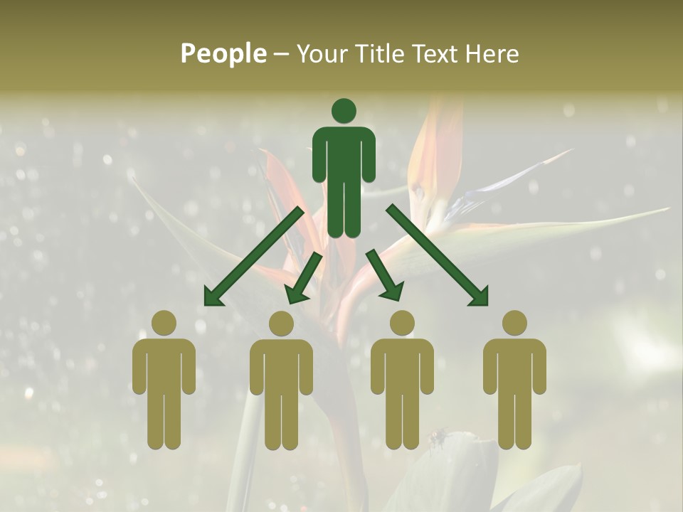 Intense Paradise Drops PowerPoint Template