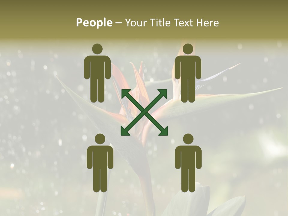 Intense Paradise Drops PowerPoint Template