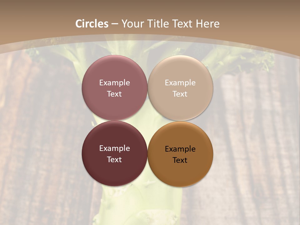 Ripe Agriculture Studio PowerPoint Template