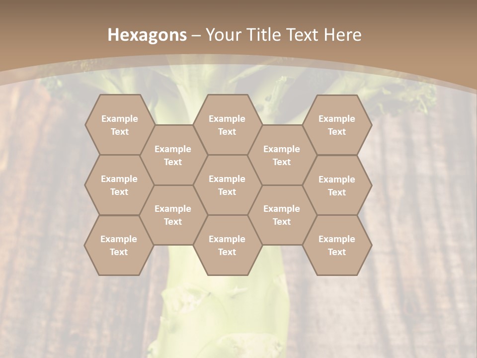 Ripe Agriculture Studio PowerPoint Template