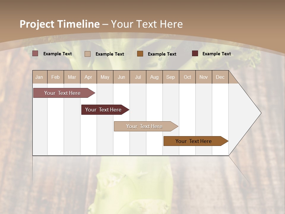 Ripe Agriculture Studio PowerPoint Template