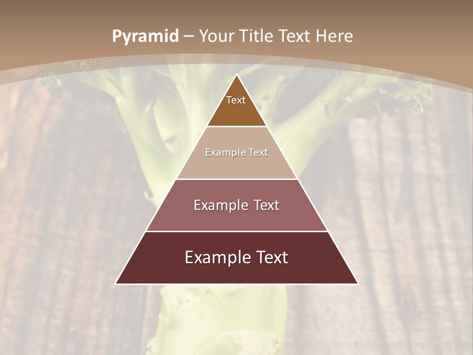 Ripe Agriculture Studio PowerPoint Template