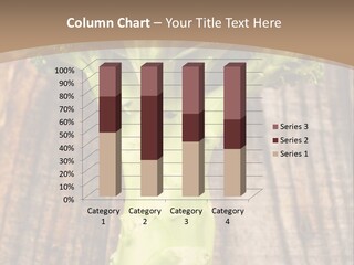 Ripe Agriculture Studio PowerPoint Template