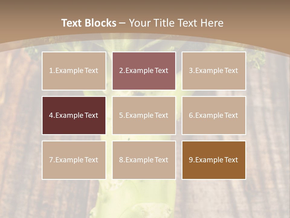 Ripe Agriculture Studio PowerPoint Template
