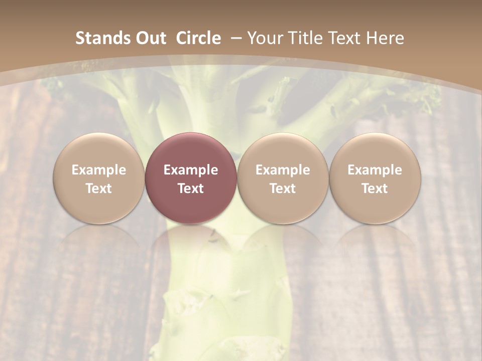 Ripe Agriculture Studio PowerPoint Template